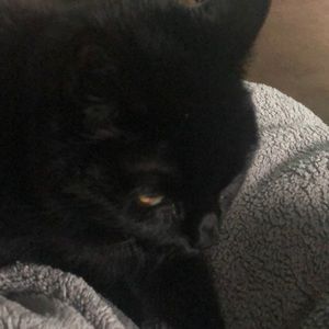 Meet your Posher, Kathy